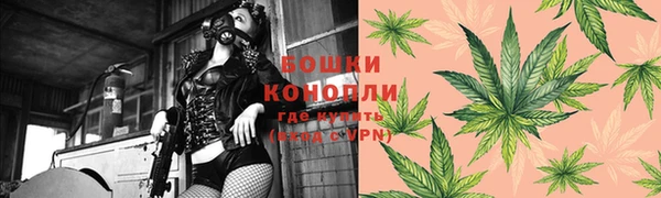 mdpv Богданович