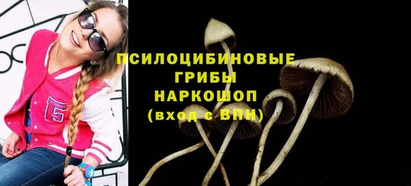 герыч Богородицк