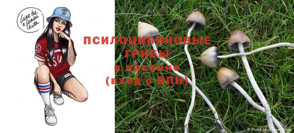 прущие грибы Богородск