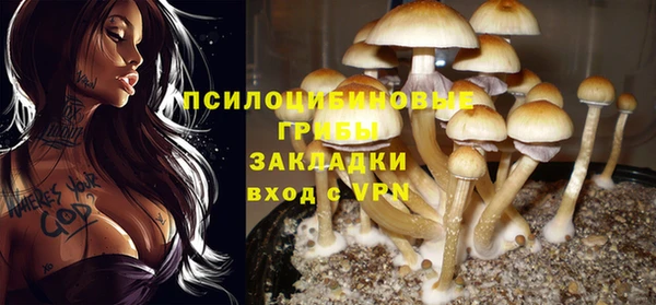 mdpv Богданович