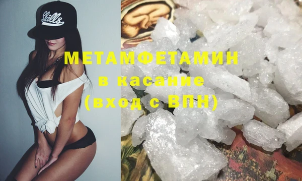 прущие грибы Богородск