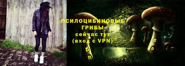 mdpv Богданович