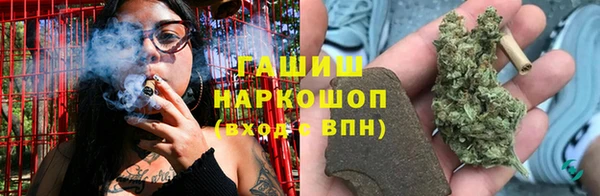 прущие грибы Богородск