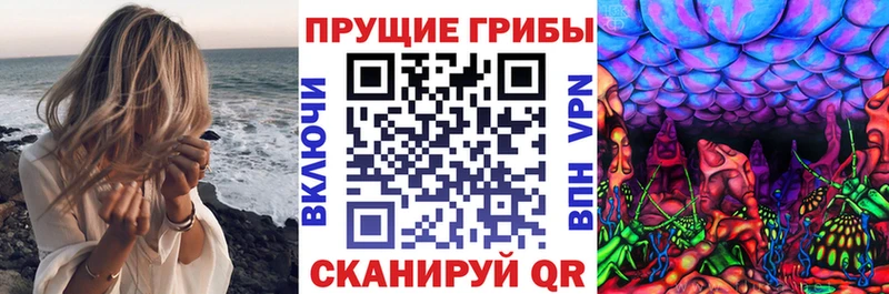Псилоцибиновые грибы Psilocybine cubensis  Чусовой 